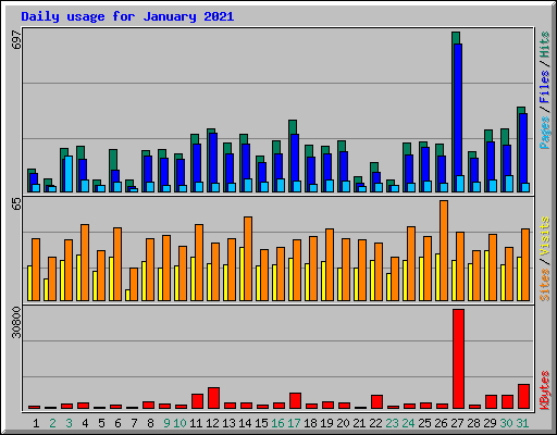 Daily usage for January 2021