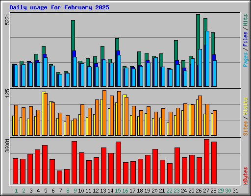Daily usage for February 2025