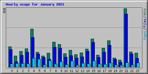 Hourly usage for January 2021