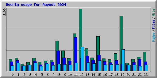 Hourly usage for August 2024