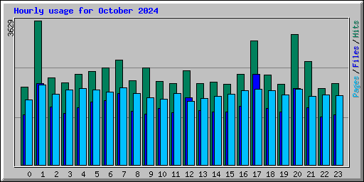 Hourly usage for October 2024