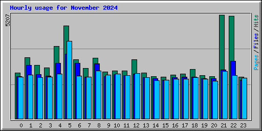 Hourly usage for November 2024