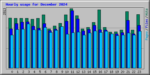 Hourly usage for December 2024
