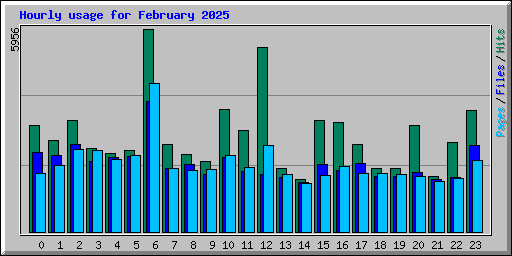 Hourly usage for February 2025