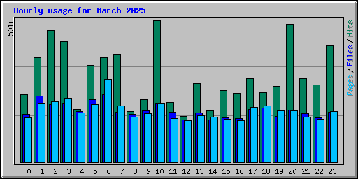 Hourly usage for March 2025