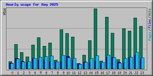 Hourly usage for May 2025