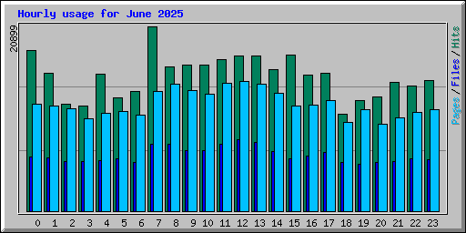 Hourly usage for June 2025