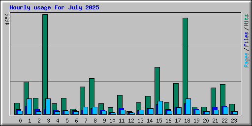 Hourly usage for July 2025