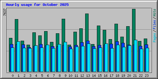 Hourly usage for October 2025