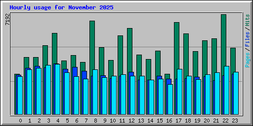 Hourly usage for November 2025