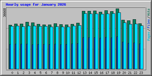 Hourly usage for January 2026