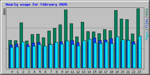 Hourly usage for February 2026