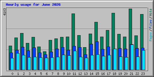 Hourly usage for June 2026